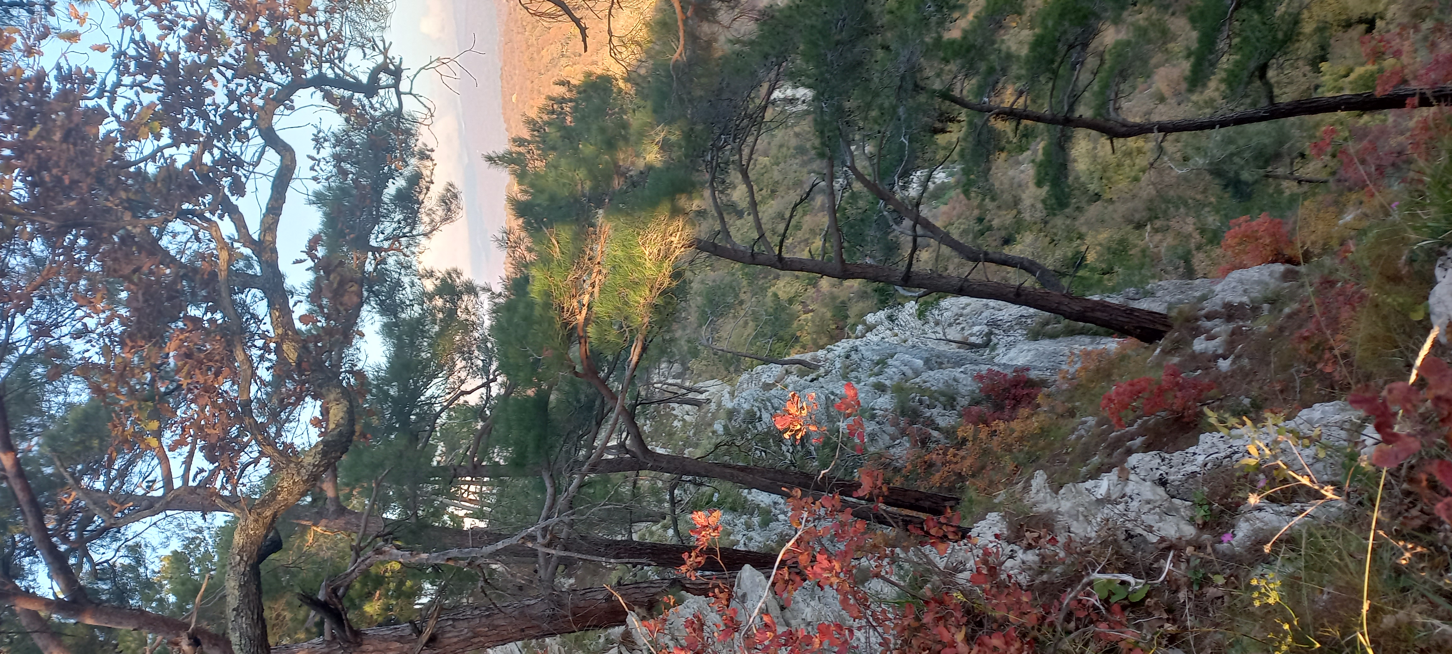 Яркие краски осеннего леса