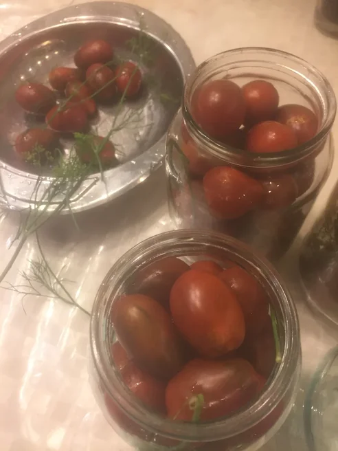 Как солить помидоры с чесноком, специями и травами